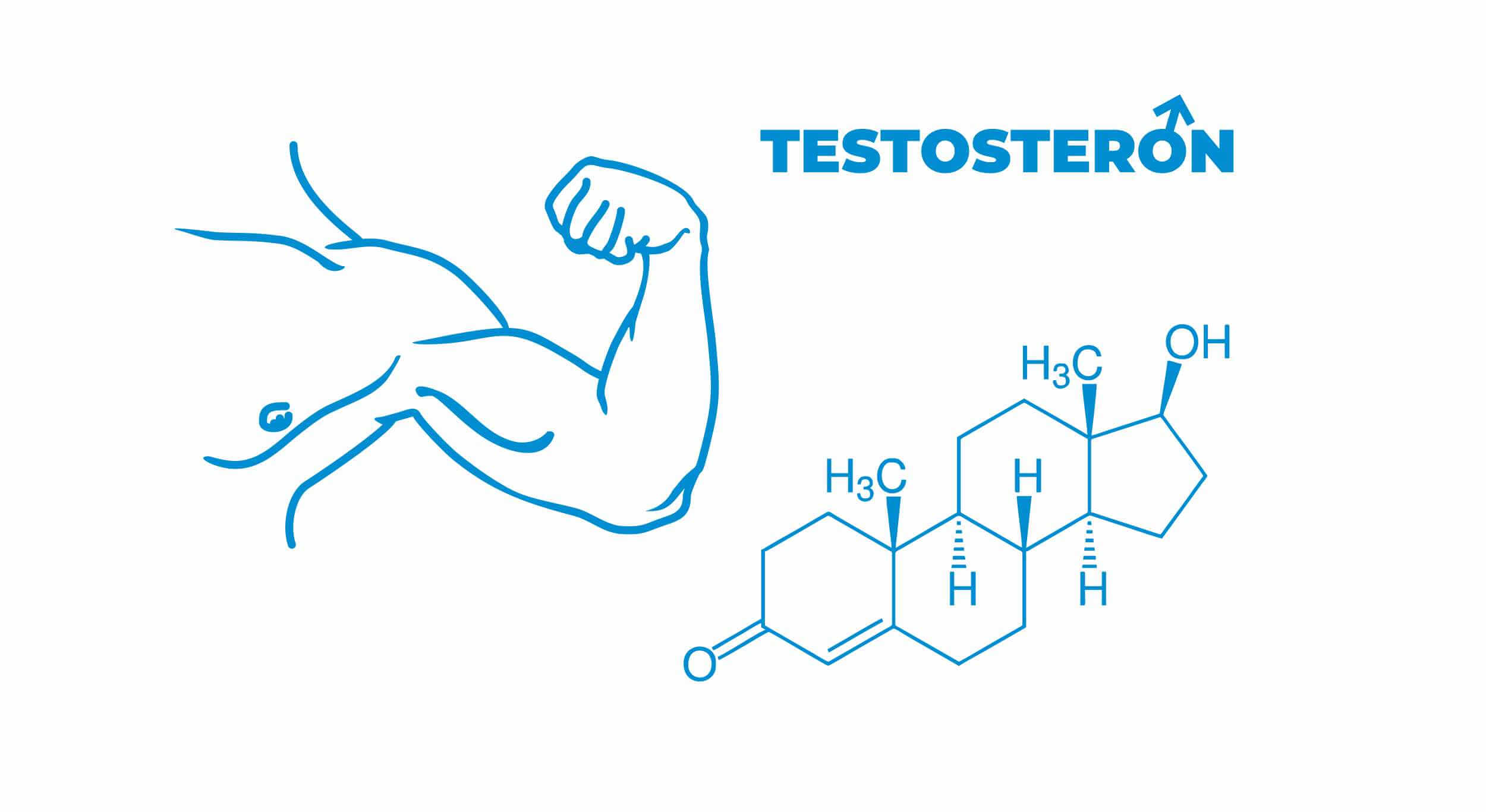 Testosteron, androgeny, hipotestosteronemia, hipertestosteronemia, hipoandrogenizm, hiperandrogenizm